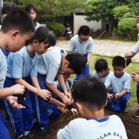 Kegiatan Outdoor Study Kelas 5 ke Agrowisata SCW | SD METTA MAITREYA
